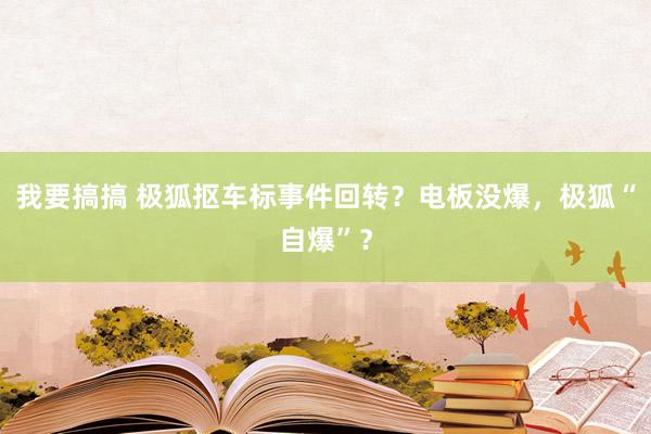 我要搞搞 极狐抠车标事件回转？电板没爆，极狐“自爆”？