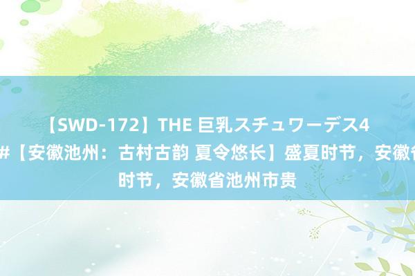 【SWD-172】THE 巨乳スチュワーデス4 #市县传真#【安徽池州：古村古韵 夏令悠长】盛夏时节，安徽省池州市贵