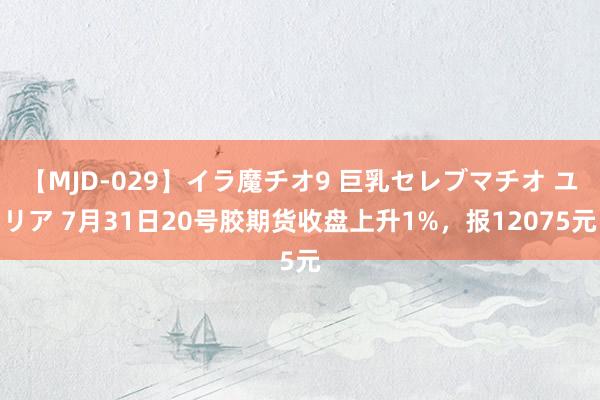 【MJD-029】イラ魔チオ9 巨乳セレブマチオ ユリア 7月31日20号胶期货收盘上升1%，报12075元