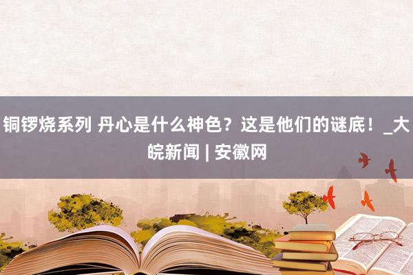 铜锣烧系列 丹心是什么神色？这是他们的谜底！_大皖新闻 | 安徽网