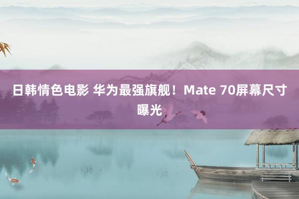 日韩情色电影 华为最强旗舰！Mate 70屏幕尺寸曝光