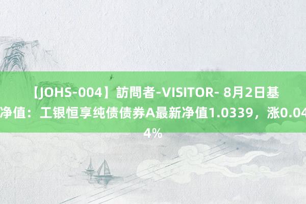 【JOHS-004】訪問者-VISITOR- 8月2日基金净值：工银恒享纯债债券A最新净值1.0339，涨0.04%