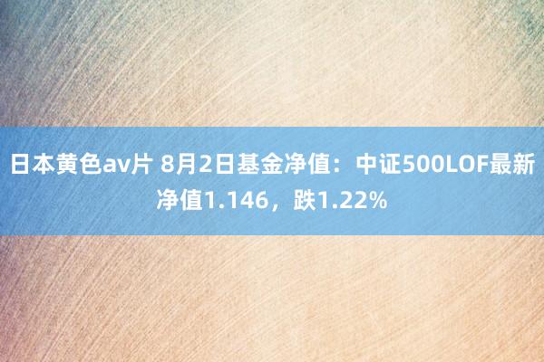 日本黄色av片 8月2日基金净值：中证500LOF最新净值1.146，跌1.22%