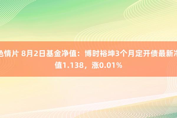 色情片 8月2日基金净值：博时裕坤3个月定开债最新净值1.138，涨0.01%