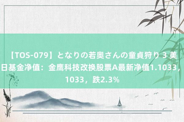 【TOS-079】となりの若奥さんの童貞狩り 3 美月 8月2日基金净值：金鹰科技改换股票A最新净值1.1033，跌2.3%