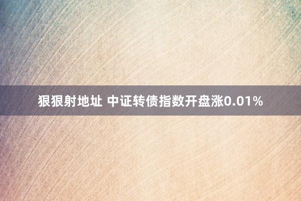 狠狠射地址 中证转债指数开盘涨0.01%