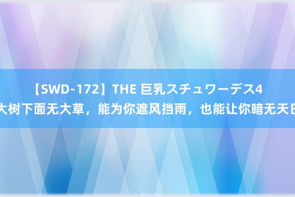 【SWD-172】THE 巨乳スチュワーデス4 大树下面无大草，能为你遮风挡雨，也能让你暗无天日