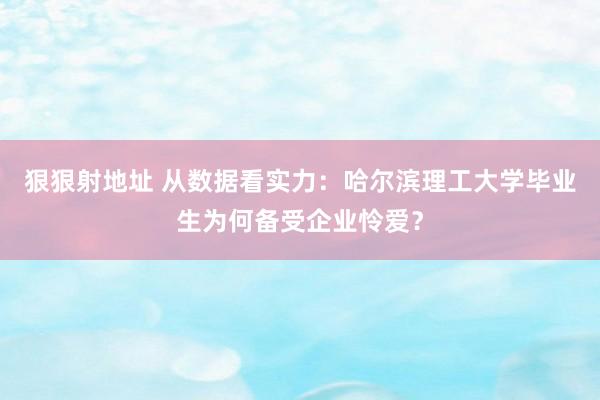 狠狠射地址 从数据看实力：哈尔滨理工大学毕业生为何备受企业怜爱？