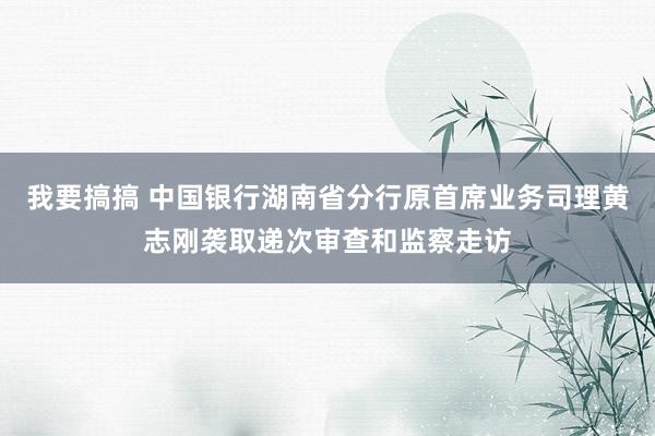 我要搞搞 中国银行湖南省分行原首席业务司理黄志刚袭取递次审查和监察走访