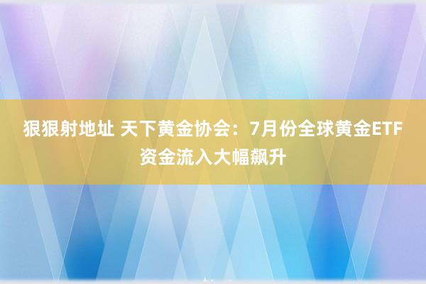 狠狠射地址 天下黄金协会：7月份全球黄金ETF资金流入大幅飙升