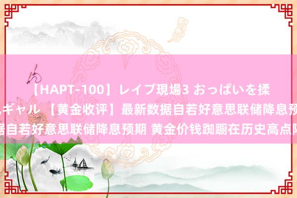 【HAPT-100】レイプ現場3 おっぱいを揉みしだかれた6人の巨乳ギャル 【黄金收评】最新数据自若好意思联储降息预期 黄金价钱踟蹰在历史高点隔壁