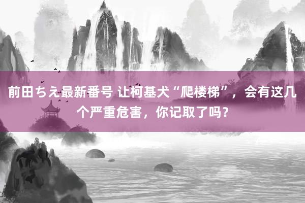 前田ちえ最新番号 让柯基犬“爬楼梯”，会有这几个严重危害，你记取了吗？