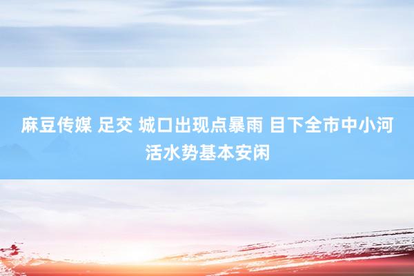 麻豆传媒 足交 城口出现点暴雨 目下全市中小河活水势基本安闲