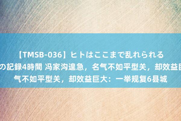 【TMSB-036】ヒトはここまで乱れられる 理性崩壊と豪快絶頂の記録4時間 冯家沟遑急，名气不如平型关，却效益巨大：一举规复6县城