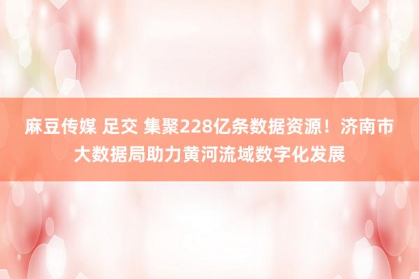 麻豆传媒 足交 集聚228亿条数据资源！济南市大数据局助力黄河流域数字化发展