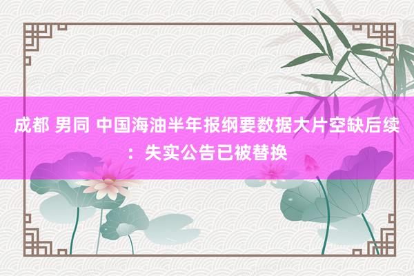 成都 男同 中国海油半年报纲要数据大片空缺后续：失实公告已被替换