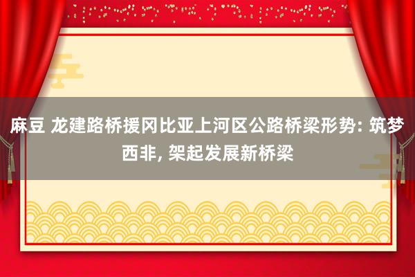 麻豆 龙建路桥援冈比亚上河区公路桥梁形势: 筑梦西非， 架起发展新桥梁