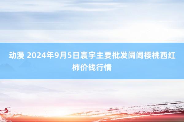 动漫 2024年9月5日寰宇主要批发阛阓樱桃西红柿价钱行情