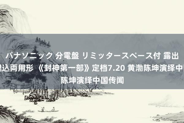 パナソニック 分電盤 リミッタースペース付 露出・半埋込両用形 《封神第一部》定档7.20 黄渤陈坤演绎中国传闻