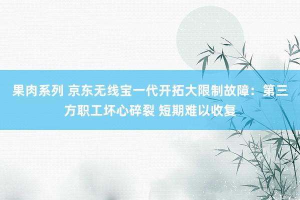 果肉系列 京东无线宝一代开拓大限制故障：第三方职工坏心碎裂 短期难以收复