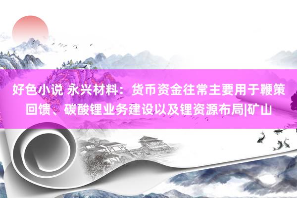 好色小说 永兴材料：货币资金往常主要用于鞭策回馈、碳酸锂业务建设以及锂资源布局|矿山