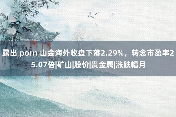 露出 porn 山金海外收盘下落2.29%，转念市盈率25.07倍|矿山|股价|贵金属|涨跌幅月